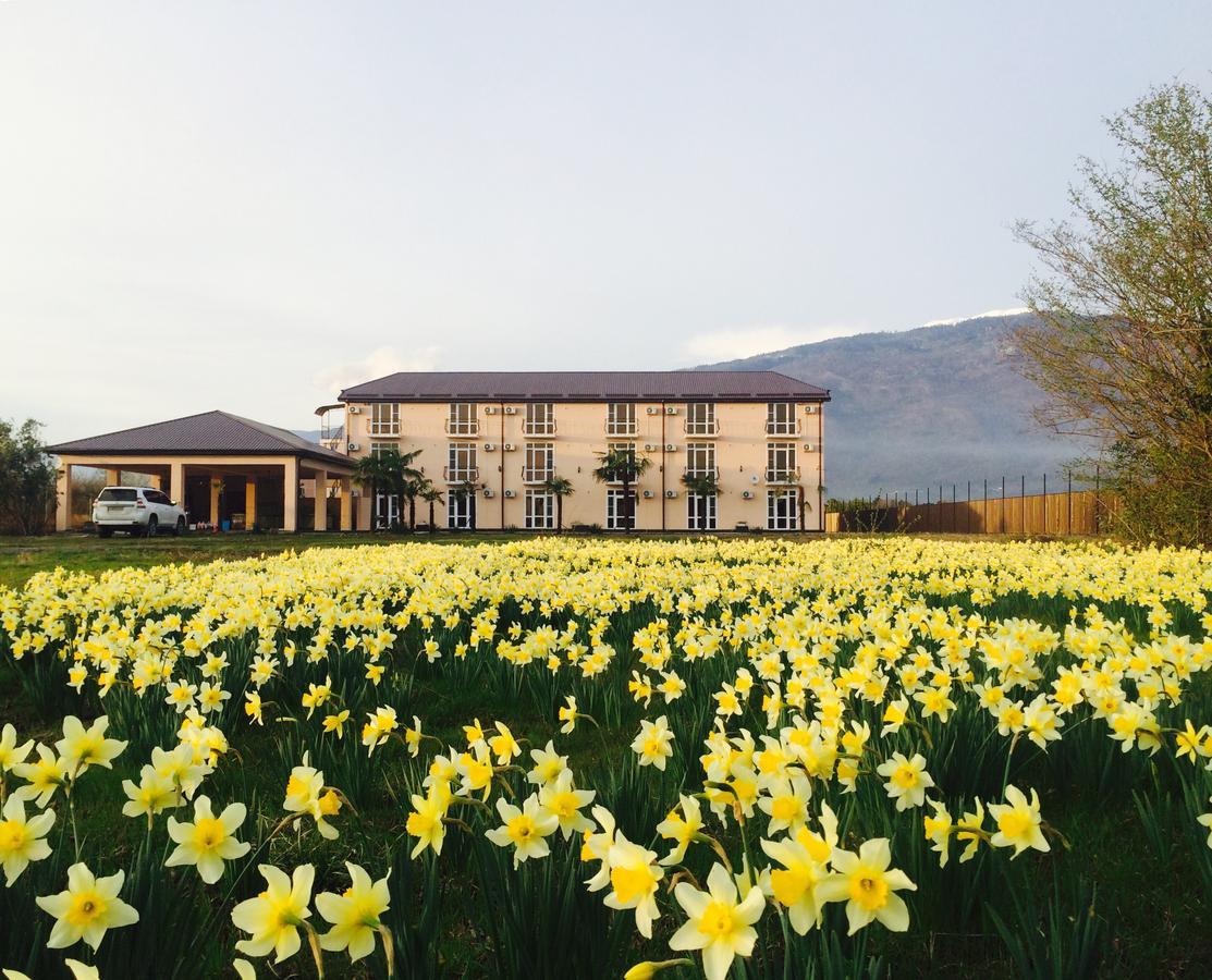 Hotel Askar Alakhadzi Exterior photo